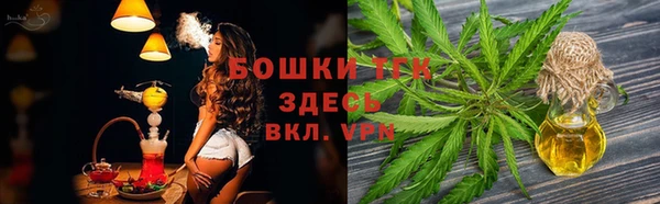 дживик Богородицк