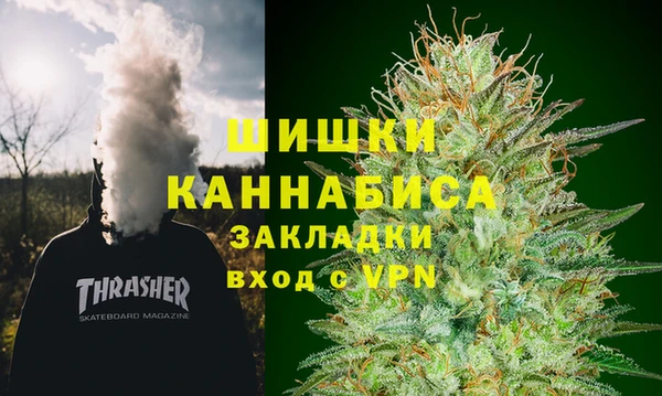 дживик Богородицк