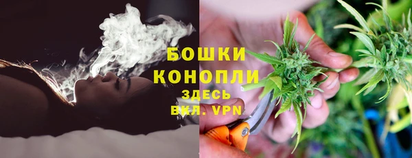 тгк Богданович