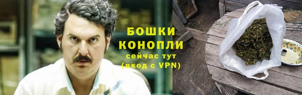 тгк Богданович