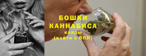 дживик Богородицк