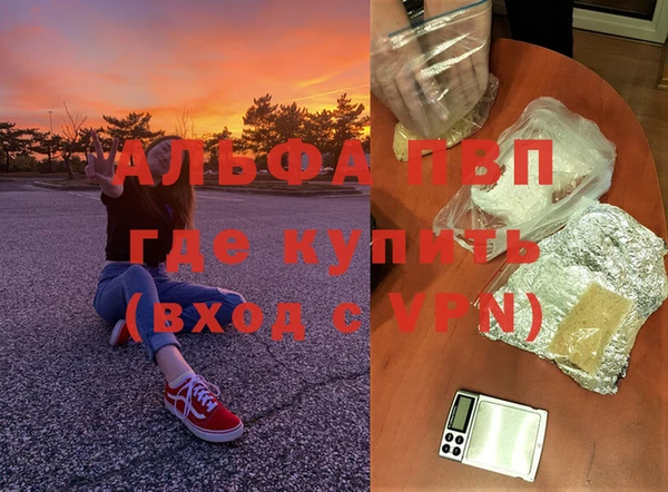 СК Арсеньев