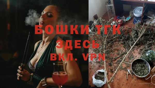 прущие крисы Бородино