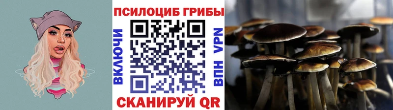Псилоцибиновые грибы MAGIC MUSHROOMS Красный Кут